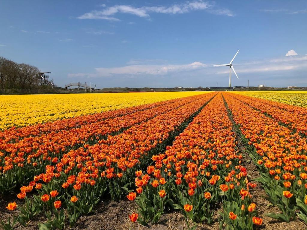 Meno Mosso Villa Sint Maartensvlotbrug Luaran gambar